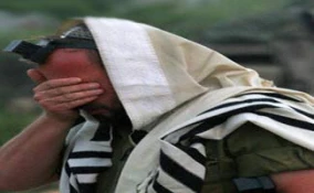 سگی که دمش را بین پاهایش پنهان می کند