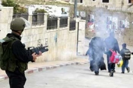فلسطین وحصیلة عام 2007