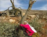 فلاحة فلسطینیة تقاوم الاحتلال بزراعة الزیتون