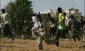 Poll: Hamas' popularity stable