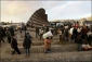 بازندگان و برندگان سقوط  دیوار غزه