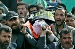 17 Palestinians martyred in Gaza