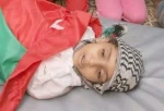 صور أطفال مجزرة غزة