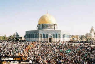 فی زمن انقلاب المعاییر.. تحریر فلسطین یصبح حراماً