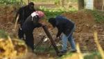 قصف سدیروت بأربعة صواریخ
