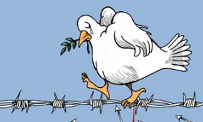 حوادث غزه