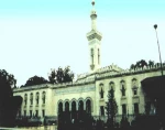 الإسلام أسرع الأدیان انتشارا