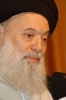 العلامة فضل الله : تفعیل المقاومة خیارنا الوحید