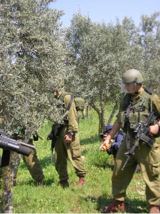 فتوى صهیونیة تبیح سرقة محاصیل الفلسطینیین