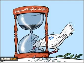 بدون تعلیق
