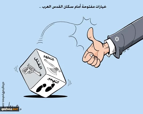 خیارات مفضوحة