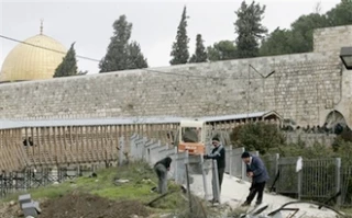 Islamic Movement warns of fresh Al-Aqsa Mosque entries