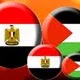 فلسطین عامل وحدت احزاب مصری