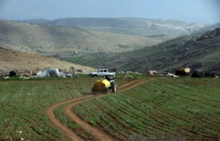 وضعیت بدمعیشتی فلسطینیان