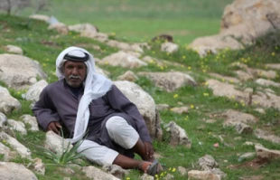 وضعیت بدمعیشتی فلسطینیان