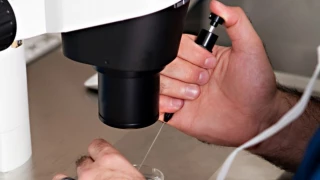 بازداشت دو اسراییلی در شبکه قاچاق تخمک زنان