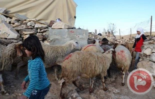 زندگی ریماس درویرانه ها