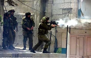 دانشجوی فلسطینی به کما رفت