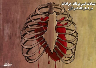 کاریکاتور