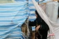 روزگار فلسطینیان درآوارگی