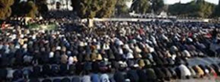 فلسطین درمردادماه91