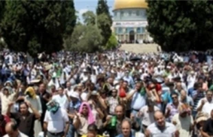 فلسطین درمردادماه91