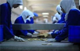 برچسب برمحصولات اسراییلی درآفریقای جنوبی