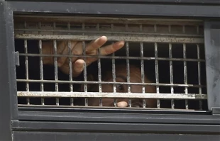 جراحت 7 اسیر فلسطینی