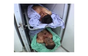 قتل دوفلسطینی توسط ارتش