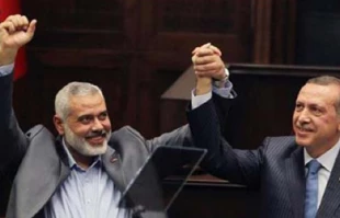 اردوغان درپی منافع ترکیه
