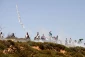 تصاویر درگیری فلسطینیان