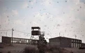 نظامیان سم پاشی شدند!!
