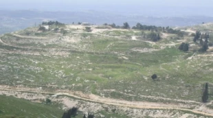 پایان اشغال روستای برقا