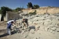 تصاویر بی خانمانی فلسطینیان