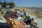 تصاویر بی خانمانی فلسطینیان