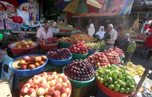کاهش صادرات غزه