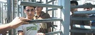 Close to 5000 Palestinian captives in Israeli jals