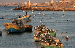 30 Israeli violations against Palestinian fishermen