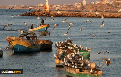 30 Israeli violations against Palestinian fishermen
