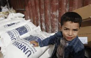 One-third of Palestinians food insecure