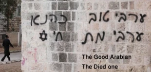 165 حمله نژاد پرستانه شهرک نشینان به فلسطینیان