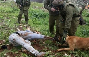 استفاده ارتش اسراییل از سگ برای حمله به فلسطینی ها