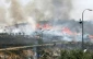صهیونیستها300 درخت فلسطینیها را آتش زدند