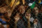 Veteran Palestinian captives released from Zionist jails