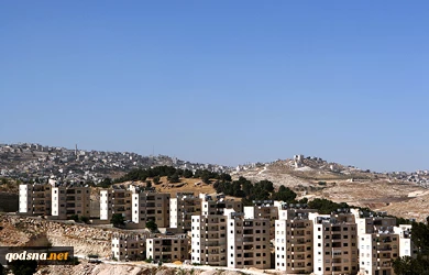 Zionist settlers by the numbers
