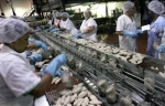 One in eight Israelis paid less than minimum wage