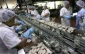 One in eight Israelis paid less than minimum wage