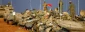 Resistance, sole way to liberate Palestine