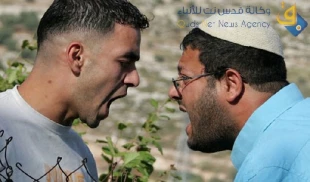 افزایش چشمگیر شهرک نشینان