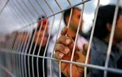 تجمع اسرای فلسطینی